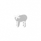 Tooth booth white by post love skin care